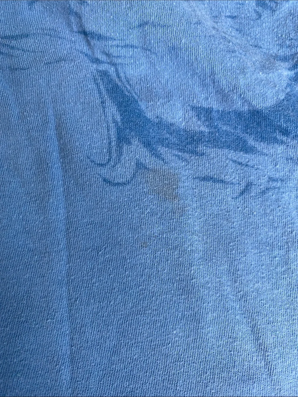 GAP Blue Shark Tee & lands’ end Light blue Space Shuttle Graphic Tee bundle